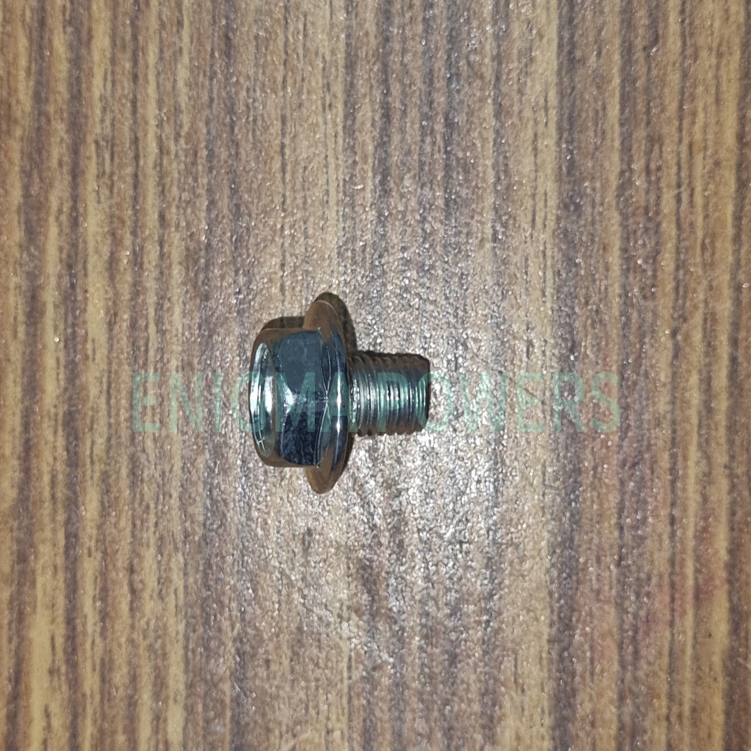 M6 Flanged Screws for Prismatic cells